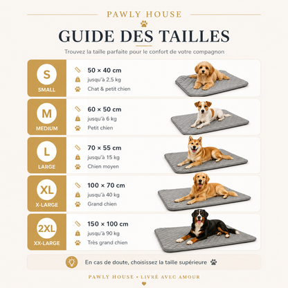Tapis Rafraîchissant Anti-chaleur — Chien & Chat